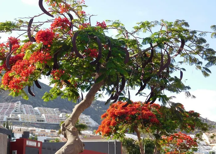 Апартаменты Brisas Del Mar *