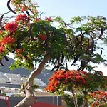 Daire Brisas Del Mar *