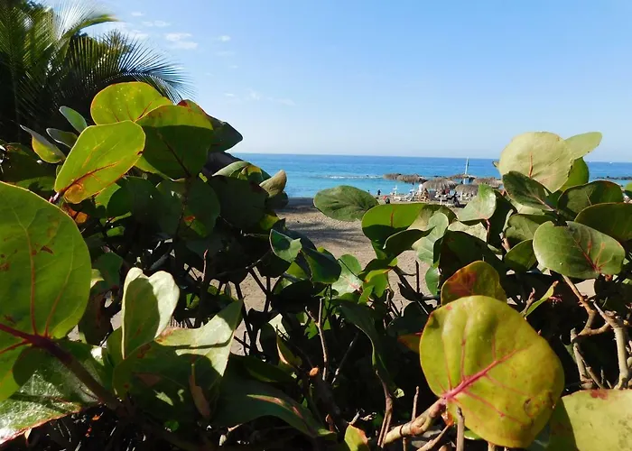 Appartement Brisas Del Mar Costa Adeje (Tenerife)